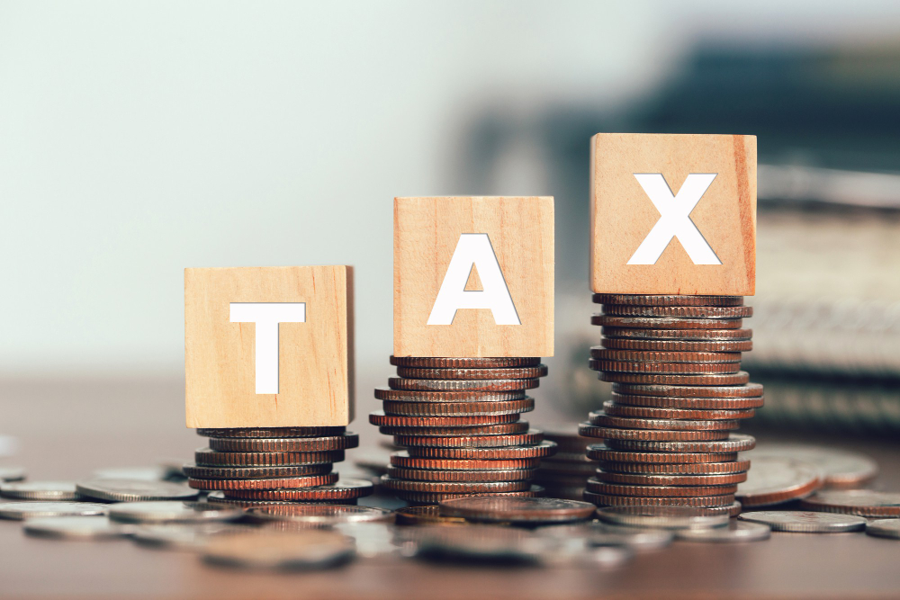 Leveraging Tax Incentives: Advantages of Setting Up a Business in Free Zones 2025